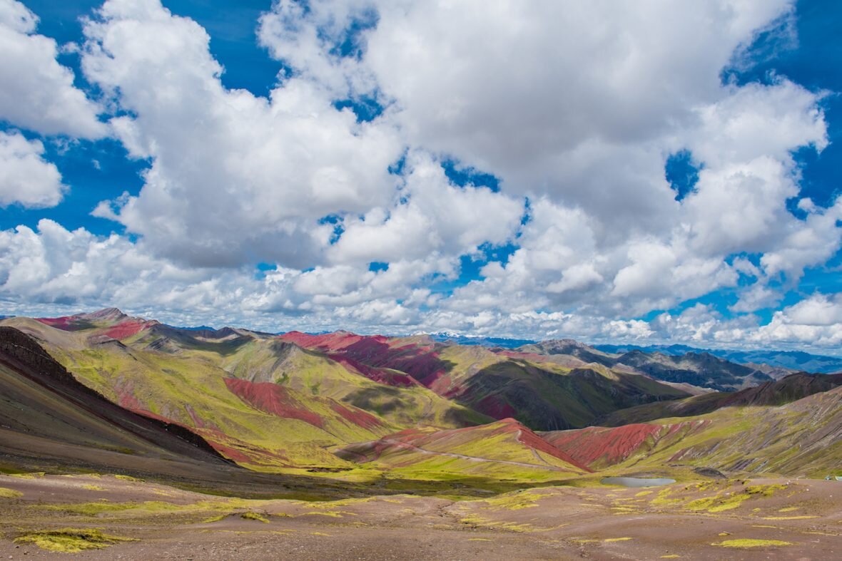 Vinicunca, La Montaña Arcoíris Perú 5 Flora y fauna de Rainbow Mountain