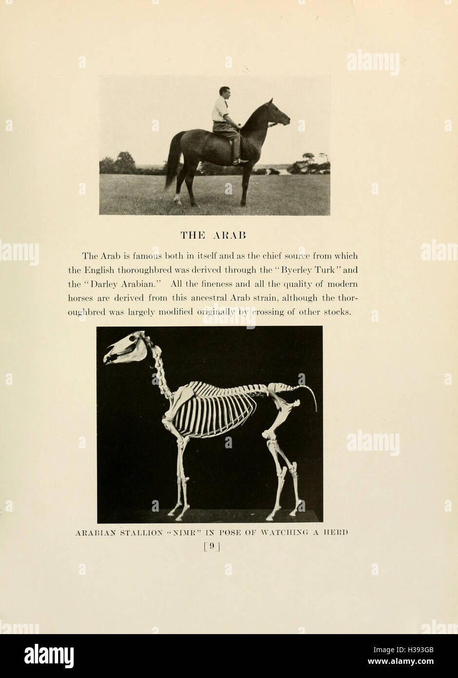 Los mejores museos del mundo que necesitas conocer 7 American Museum of Natural History: un viaje a través del tiempo