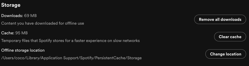 Razones para no usar Spotify en India 6 Configuración de Spotify: recomendaciones útiles