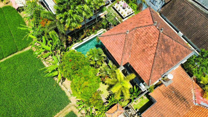 Qué ver en Ubud, en Bali 5 Consejos para tu visita a Ubud