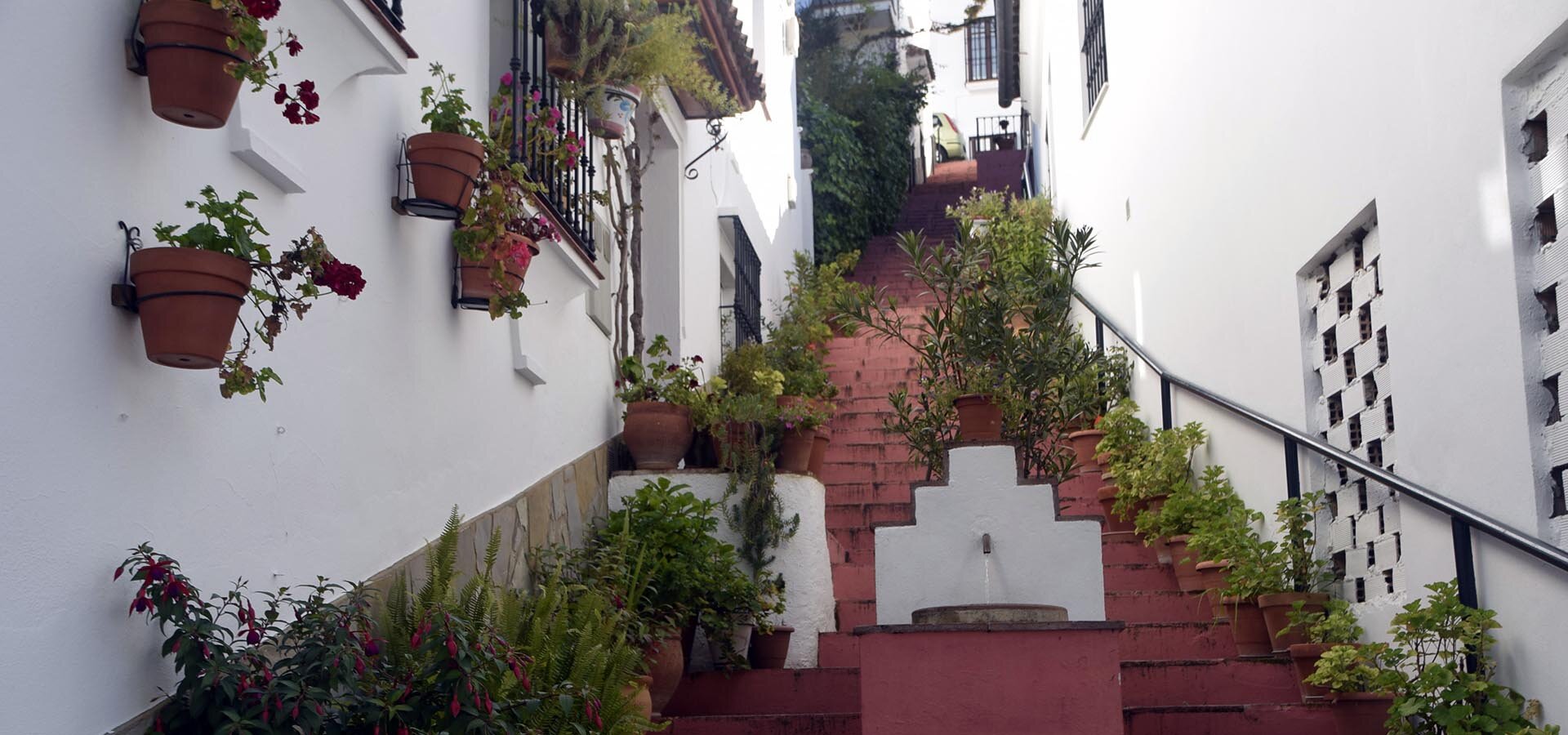 Los mejores free tours en Grazalema gratis 4 ¿Cuánto tiempo se necesita para visitar Grazalema?