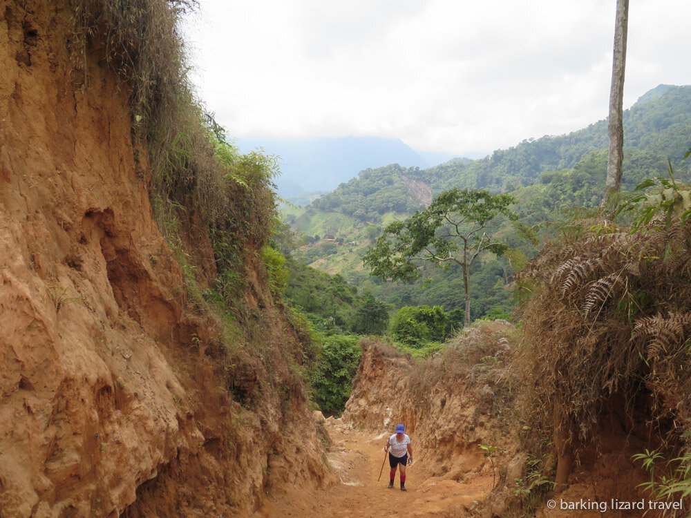 Cierre temporal de la Ciudad Perdida 3 Detalles sobre la ruta de senderismo hacia la Ciudad Perdida