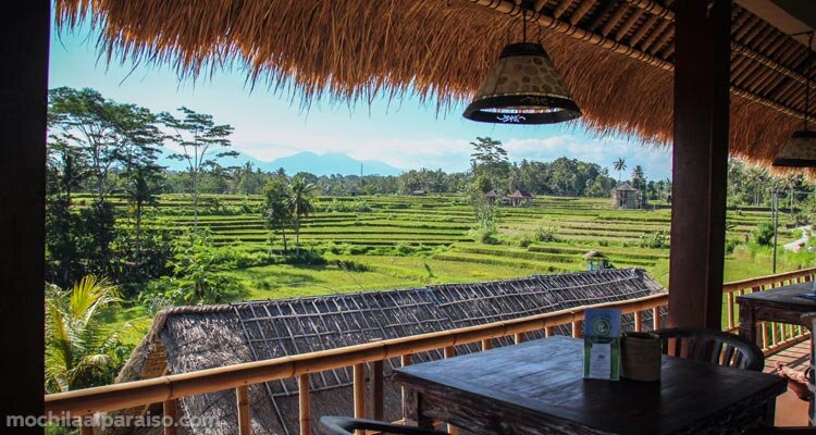 Qué ver en Ubud, en Bali 2 Día 16: explorando Ubud, Bali
