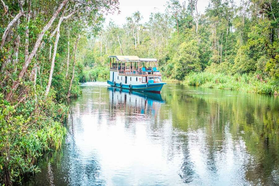 5 lugares que ver en Indonesia 3 Explorando Tanjung Puting