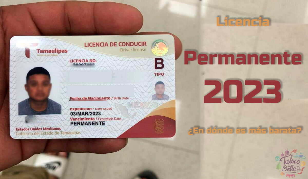 Guía para conductores de motos Ninja 3 La experiencia de conducir en un entorno caótico