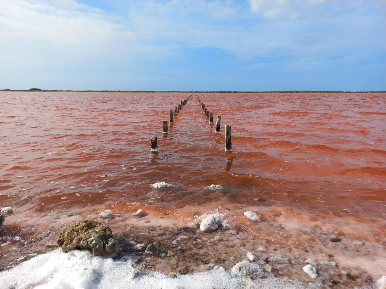 Salinas de Galerazamba. Conoce el mar rosa de Colombia. 3 ¿Por qué es rosa el mar de Galerazamba?