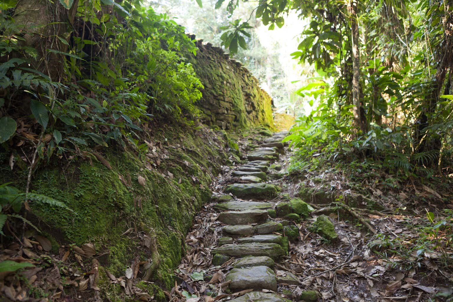 Consejos para ir a la Ciudad Perdida 2 ¿Qué es la Ciudad Perdida?