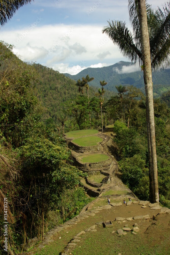 Cierre temporal de Ciudad Perdida 4 Reapertura y futuro de Ciudad Perdida