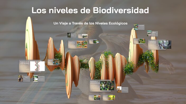 Guía de Fauna del Camino a Ciudad Perdida 2 Un recorrido a través de la biodiversidad