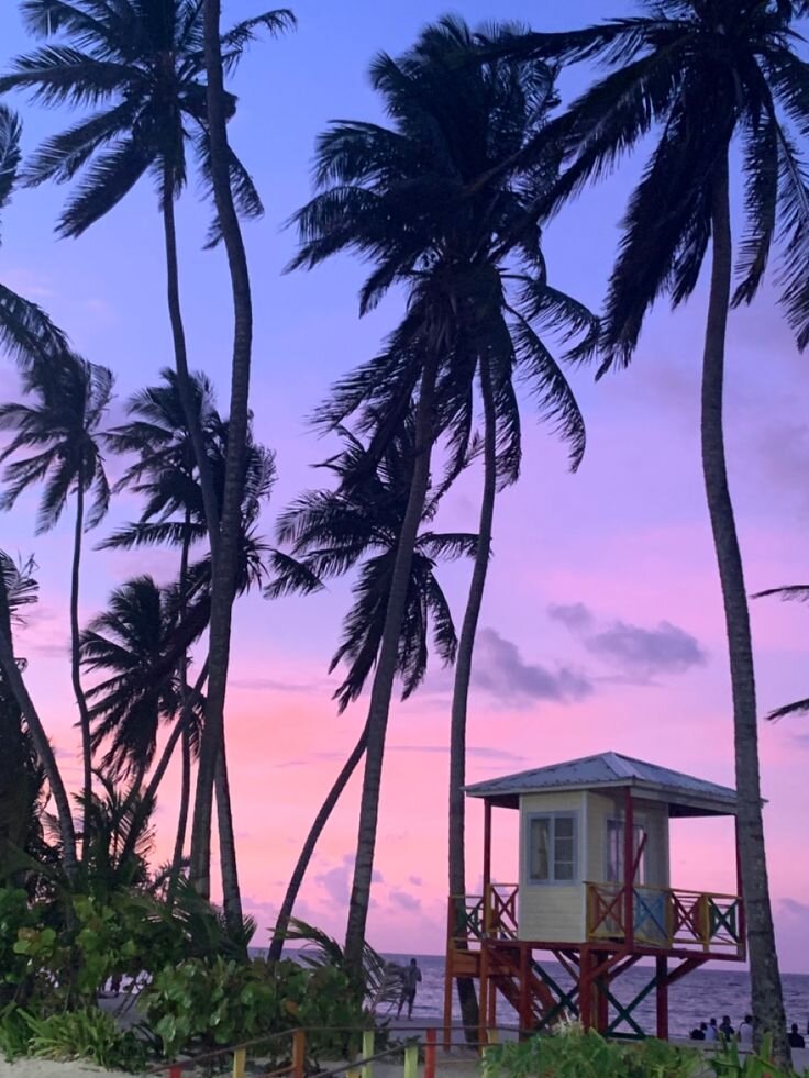 Isla San Andrés… tu próximo destino en el Caribe 6 Vida nocturna en San Andrés
