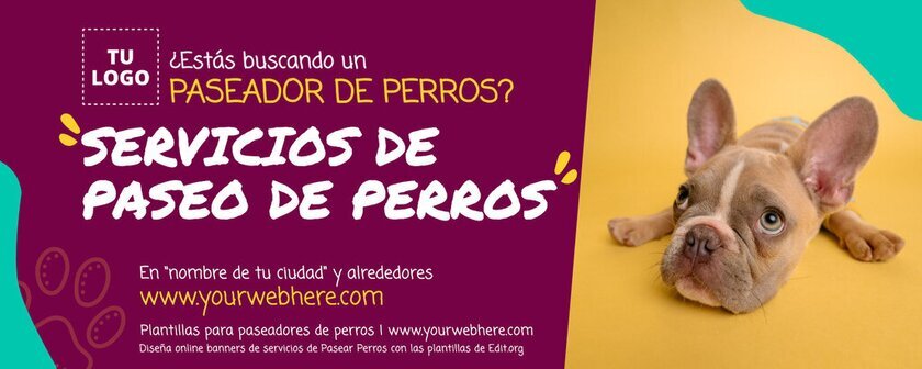 Animales en La Vuelta al Mundo y su diversidad global 4 La cultura de pasear perros en ciudades modernas