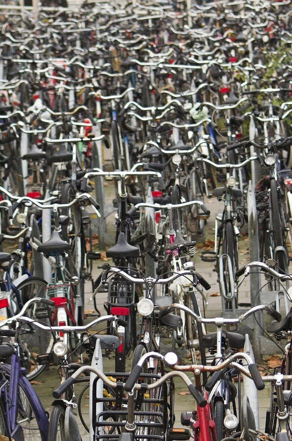 Cristina nos muestra la ciudad de Delft 3 La experiencia de recorrer Delft en bicicleta
